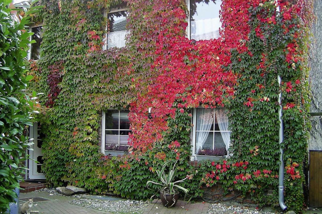 Holiday Flat Wolgast - Dos09073-P Hotel Exterior photo